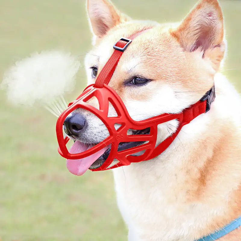 Dog Mouth Cover
